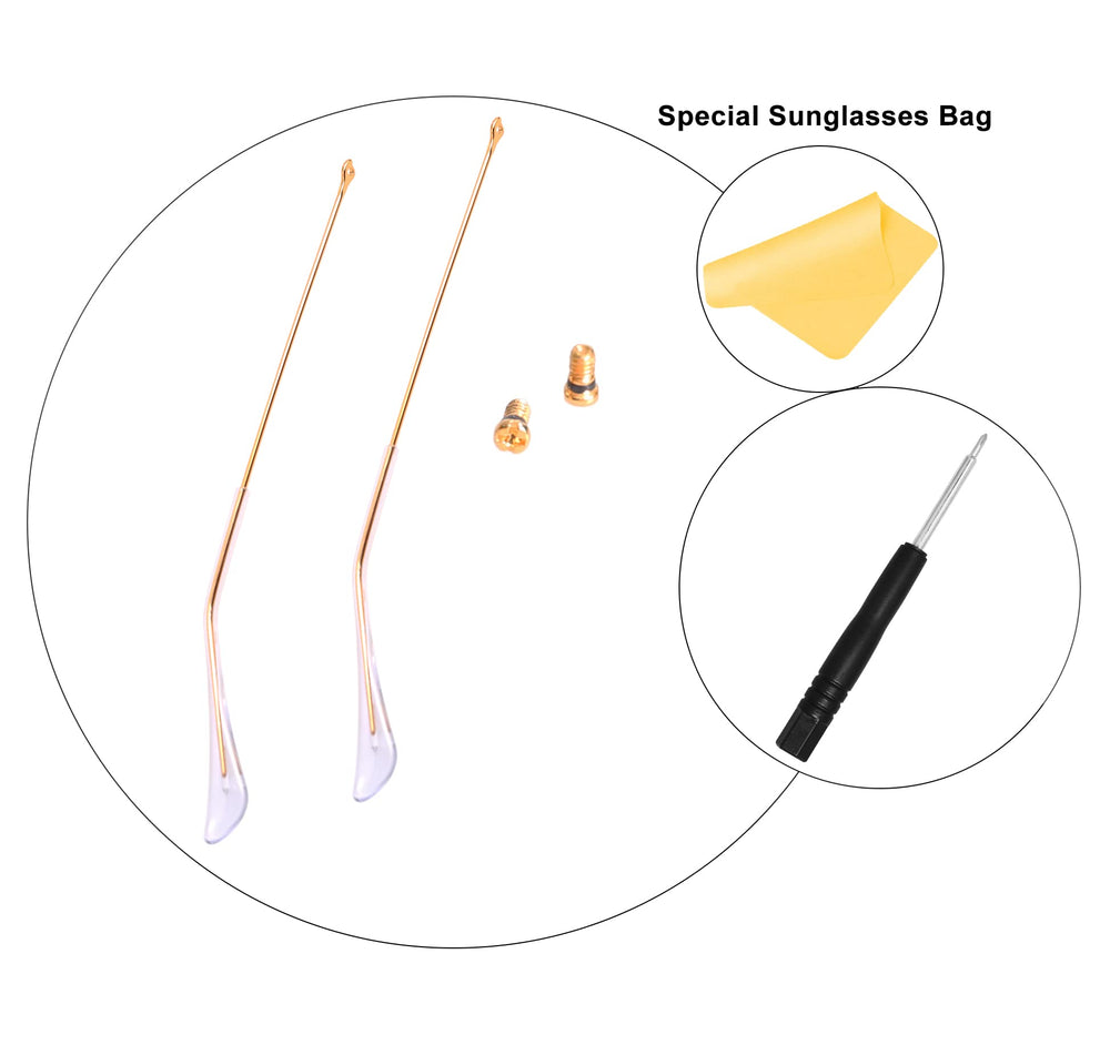RB3025 repair kit showing screws, screwdriver and sunglasses bag