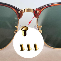 Close-up view of back-side/temple hinge and nose-bridge screws