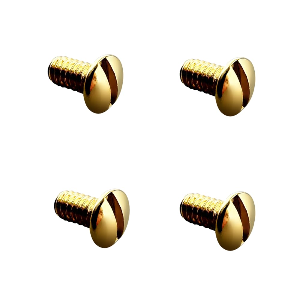 Golden Ray Ban Clubmaster replacement screws 4-pack with screwdriver