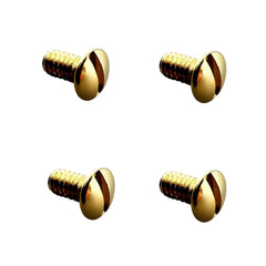 Golden Ray Ban Clubmaster replacement screws 4-pack with screwdriver