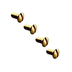 Included screwdriver for installing Ray Ban replacement screws
