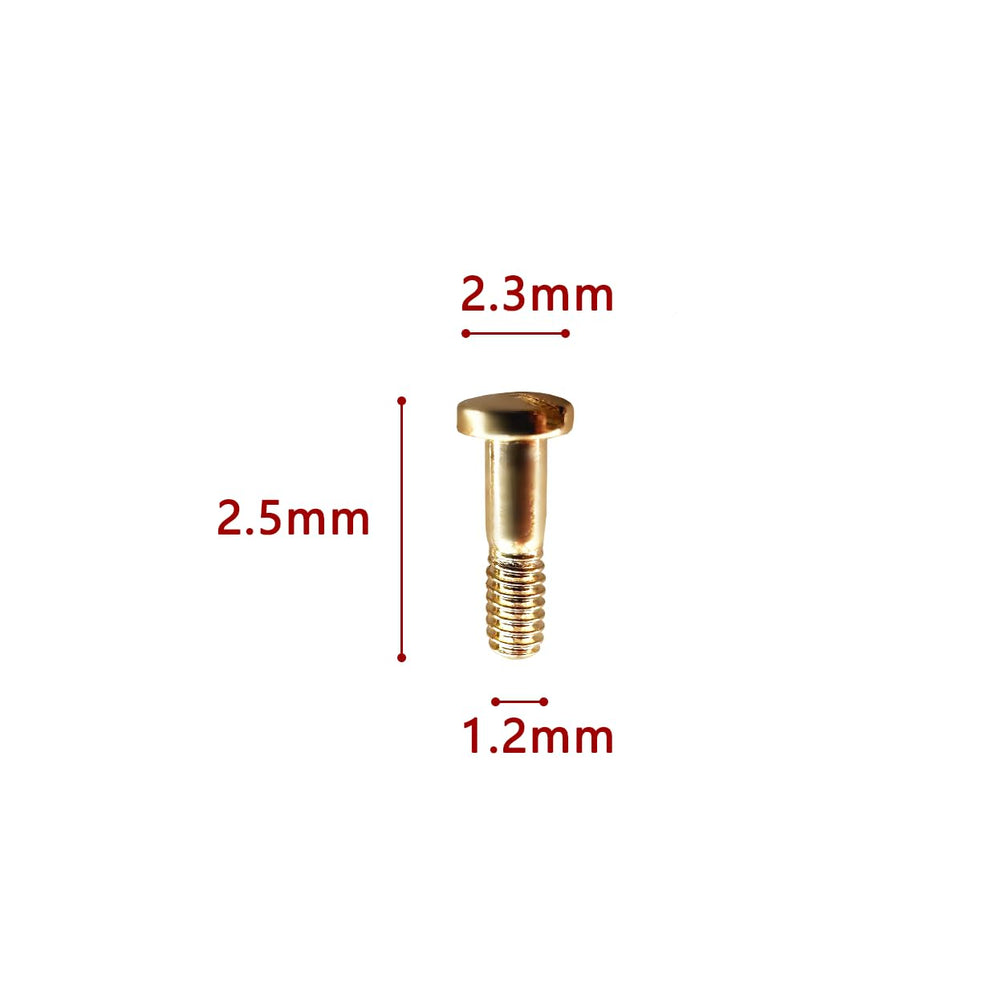 Close-up of gold temple hinge screw for Ray Ban RB3379 sunglasses