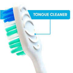 Bi-level bristles cleaning plaque along gum line