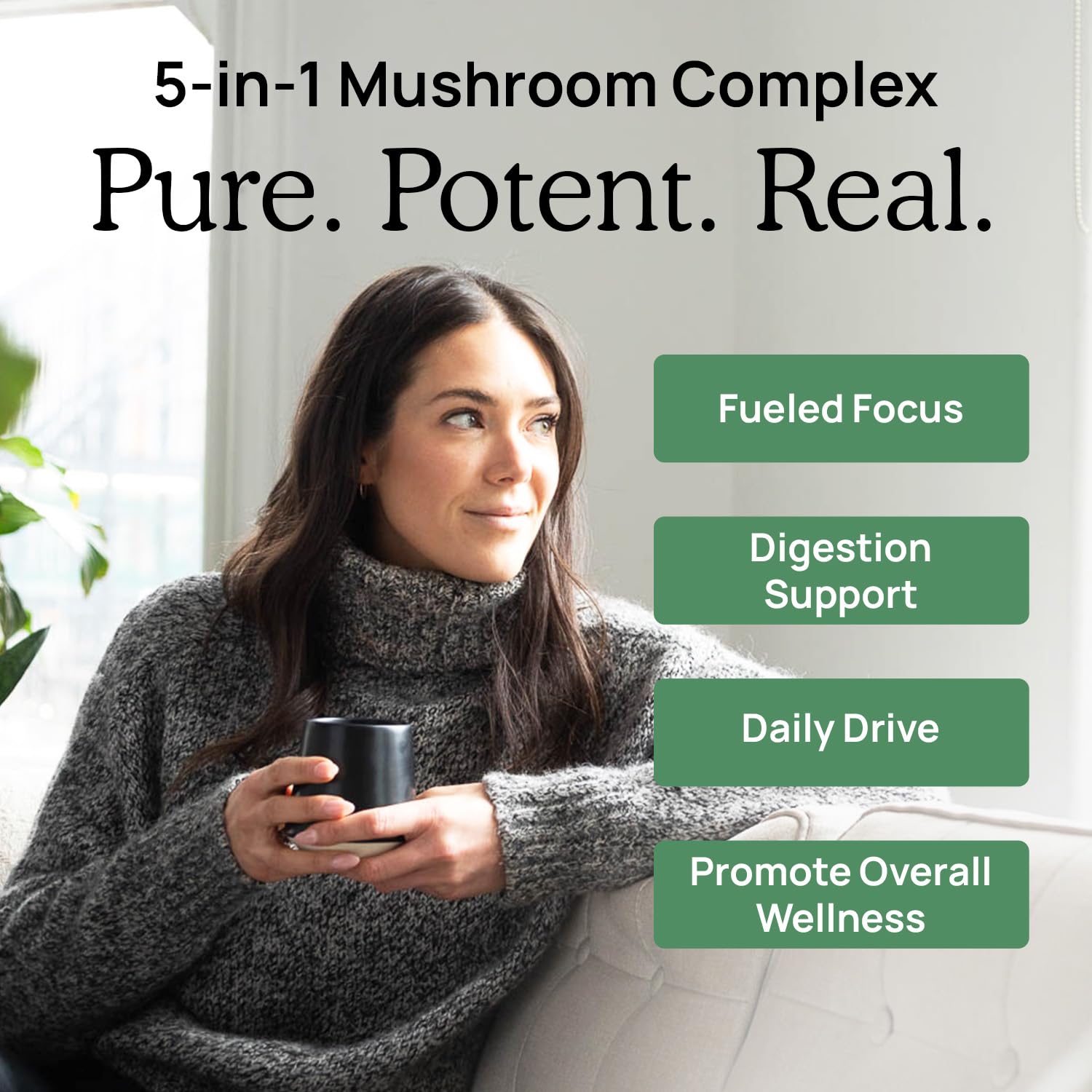 Five-mushroom complex: Chaga, Turkey Tail, Maitake, Shiitake, Reishi