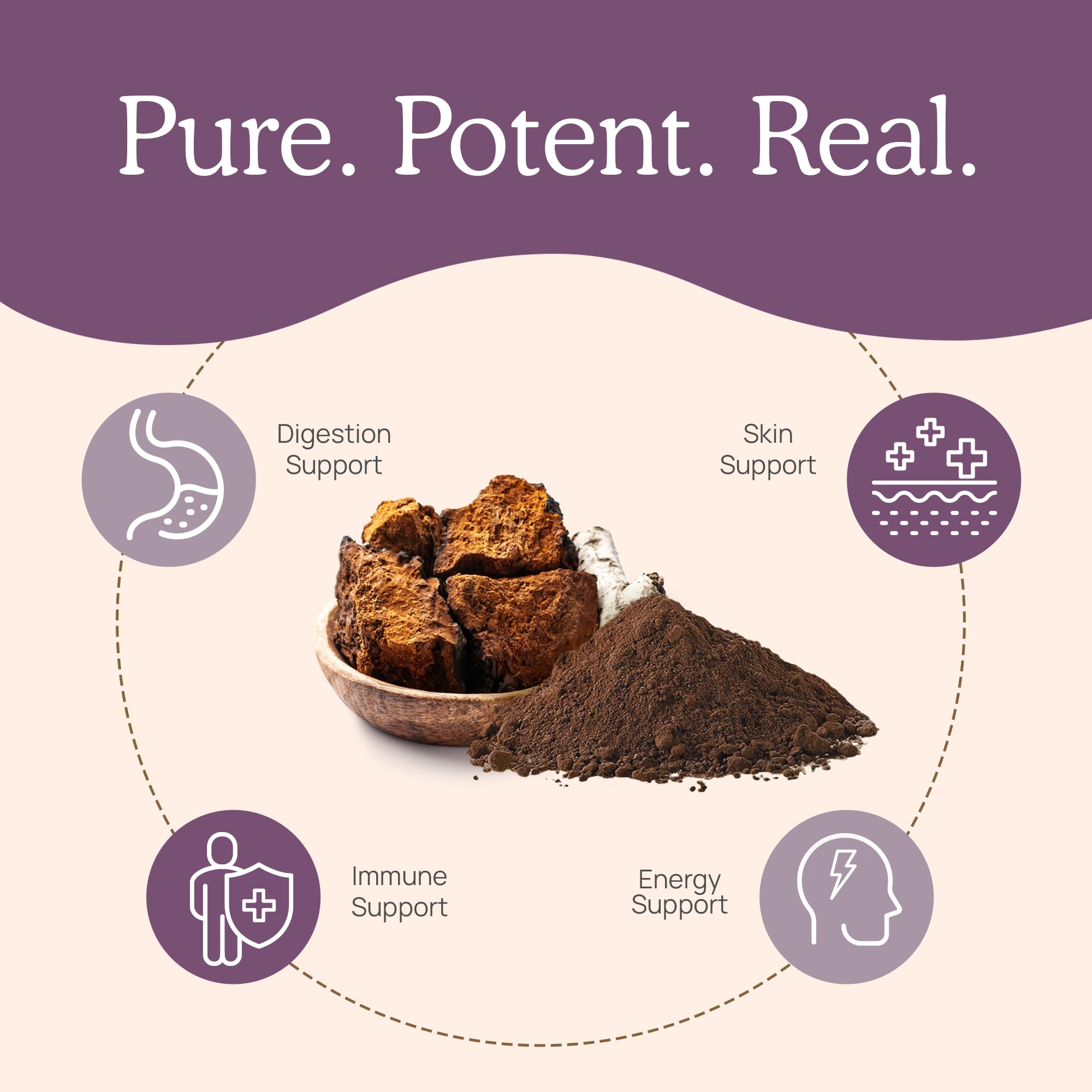 No fillers or mycelium label on Real Mushrooms Chaga capsules