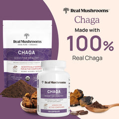 Close-up of Real Mushrooms Chaga capsules