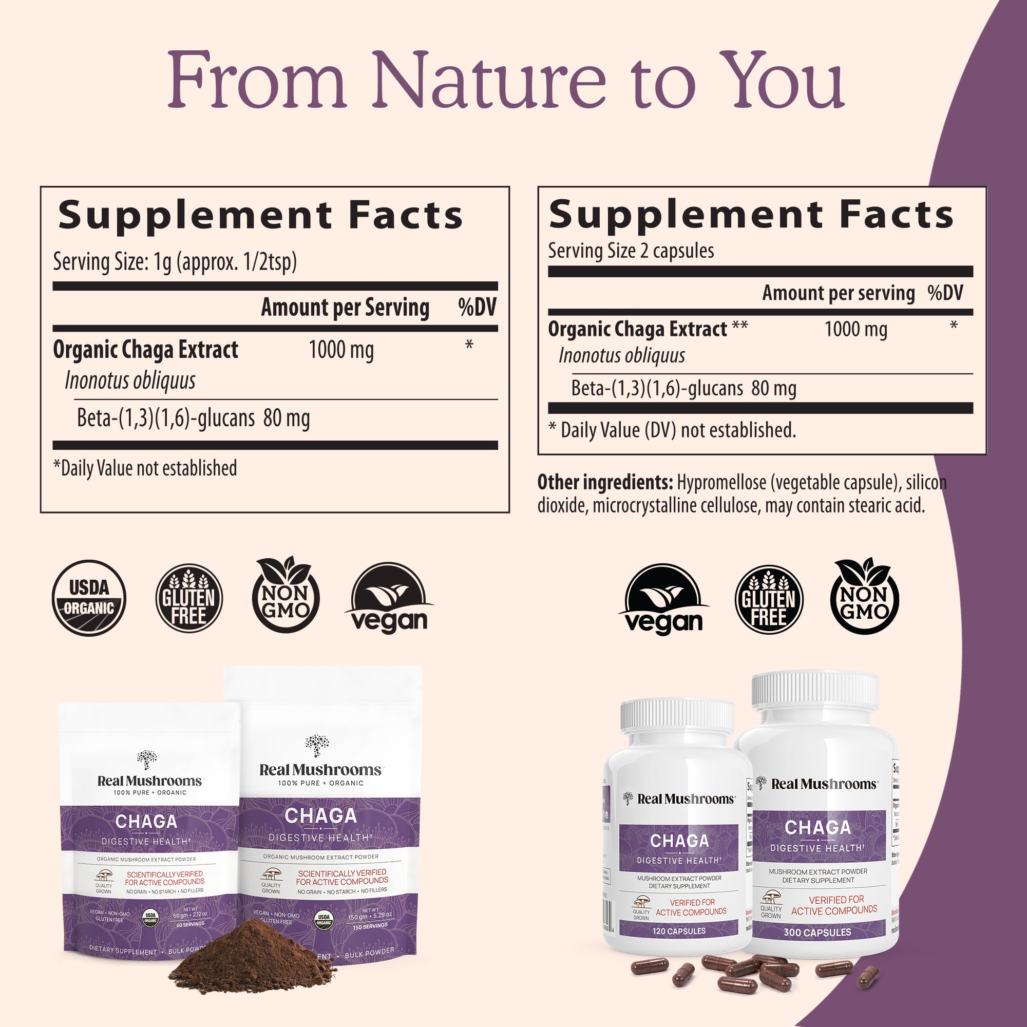 Wild-harvested Chaga mushroom source