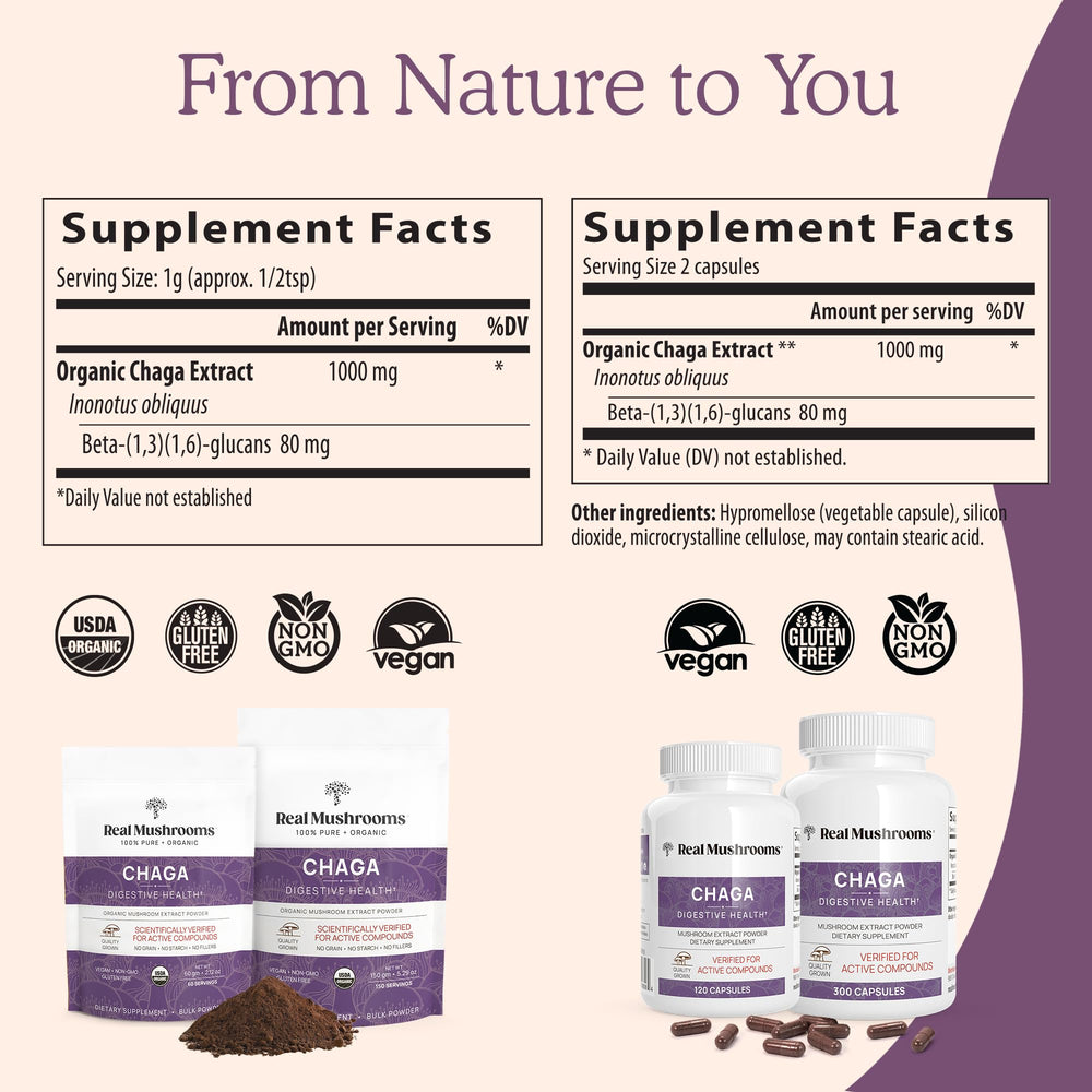 Wild-harvested Chaga mushroom source