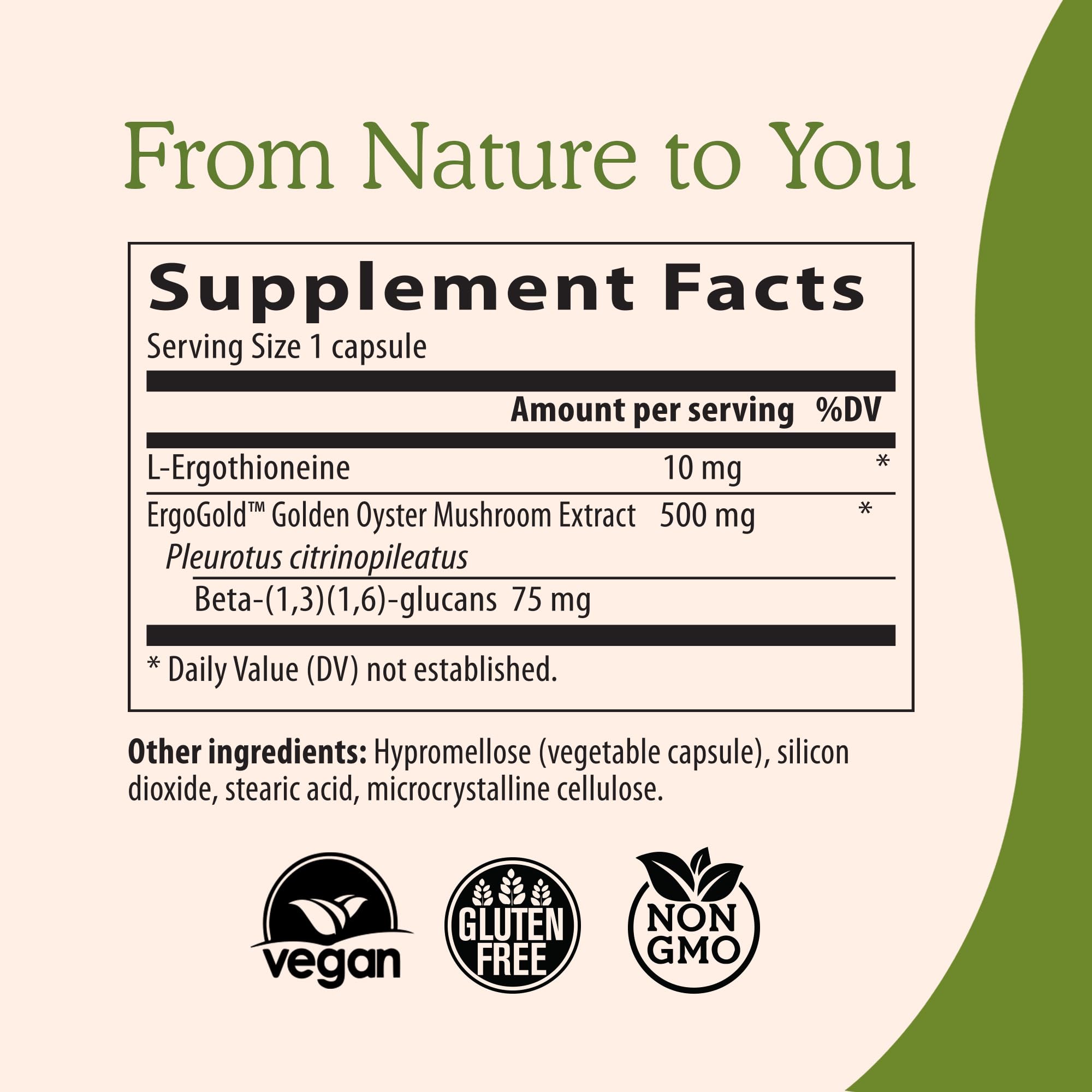Organic golden oyster mushrooms used in Real Mushrooms Ergothioneine