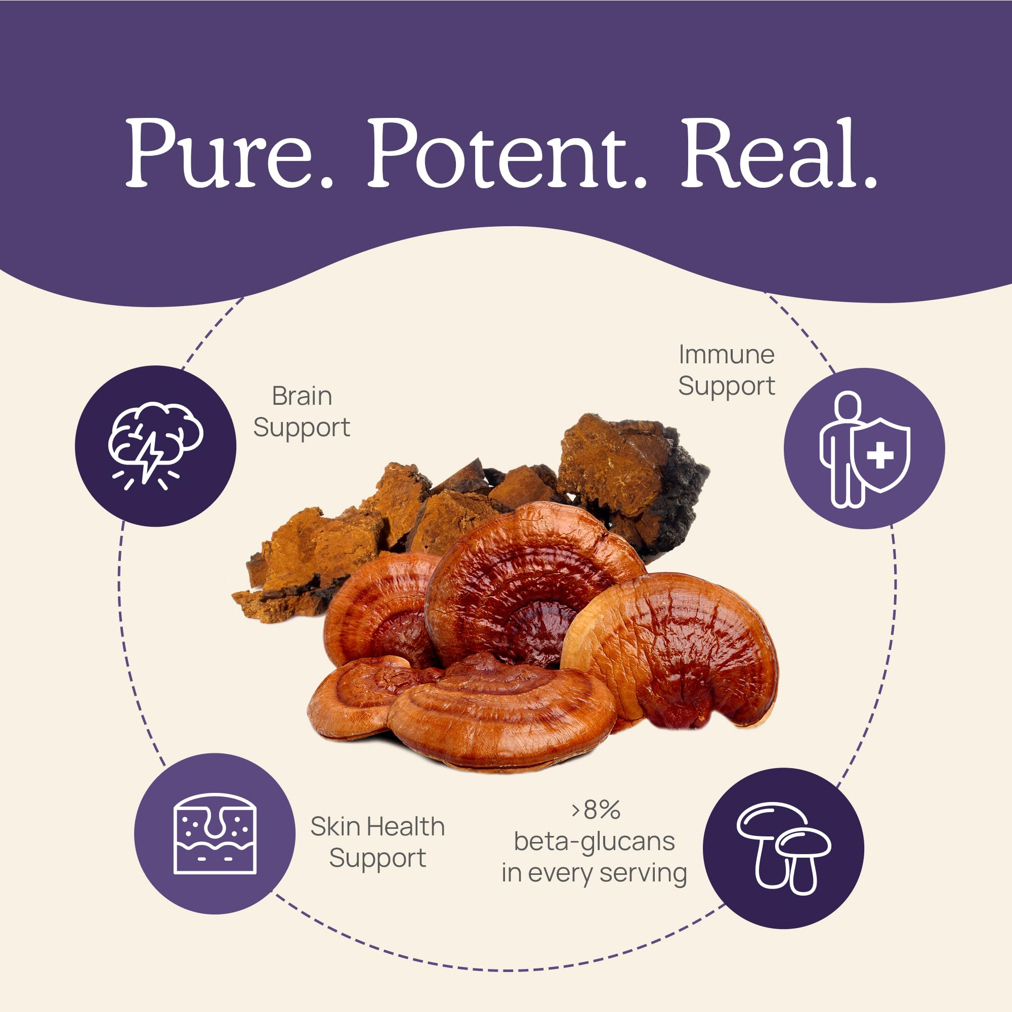 Illustration of organic Reishi and Chaga mushroom extracts.