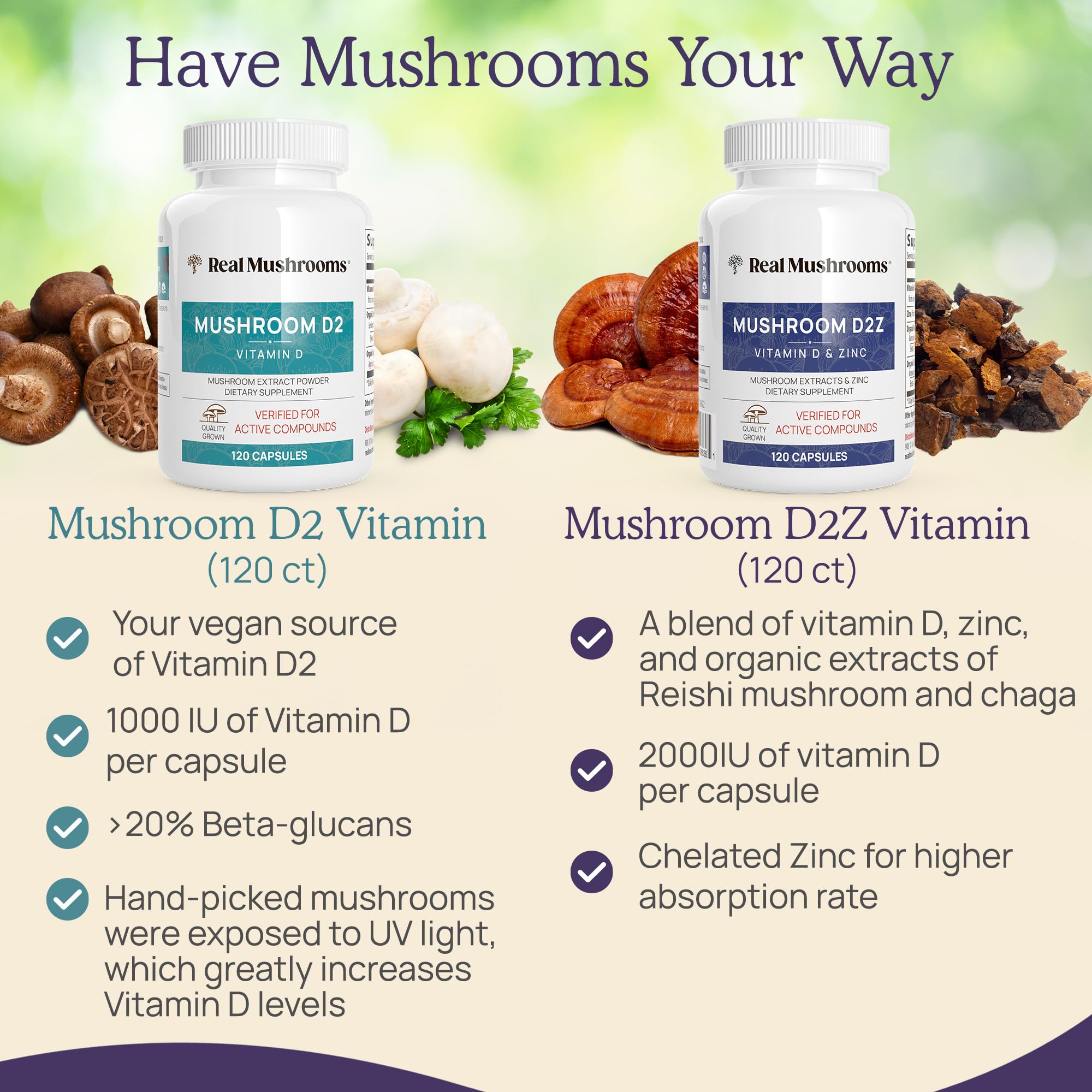 Graphic showing beta-glucans content from Reishi and Chaga.