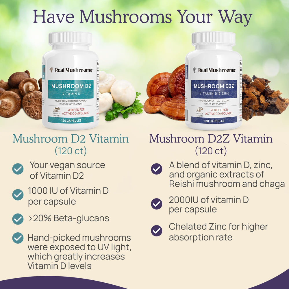 Graphic showing beta-glucans content from Reishi and Chaga.