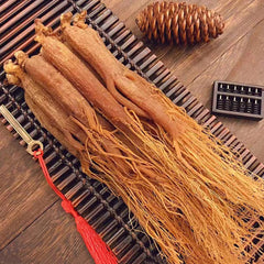 Close-up of red ginseng root showing longitudinal furrows and root marks