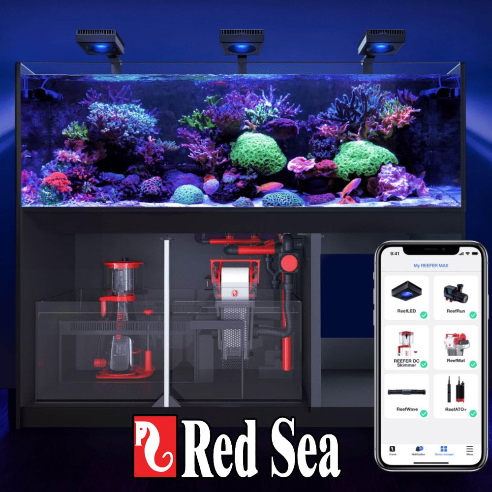 Packaging and Reef Care Program logo on Red Sea Foundation A