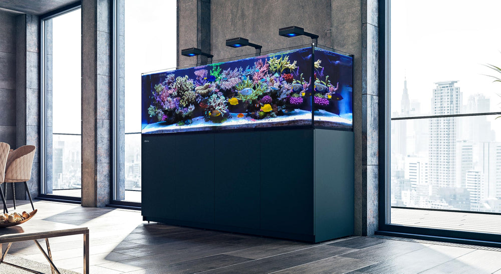 Product packaging and 1000ml bottle of Red Sea Foundation A