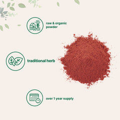 Red Yeast Rice powder in a bowl, close-up