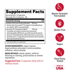 Redd Remedies Curcumin T4 bottle label detail
