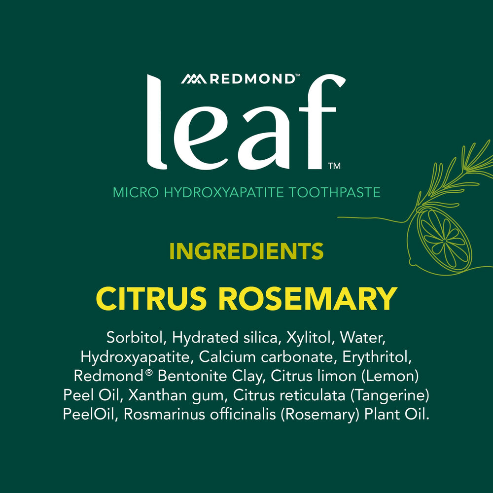 Toothbrush with Citrus Rosemary toothpaste ready for brushing