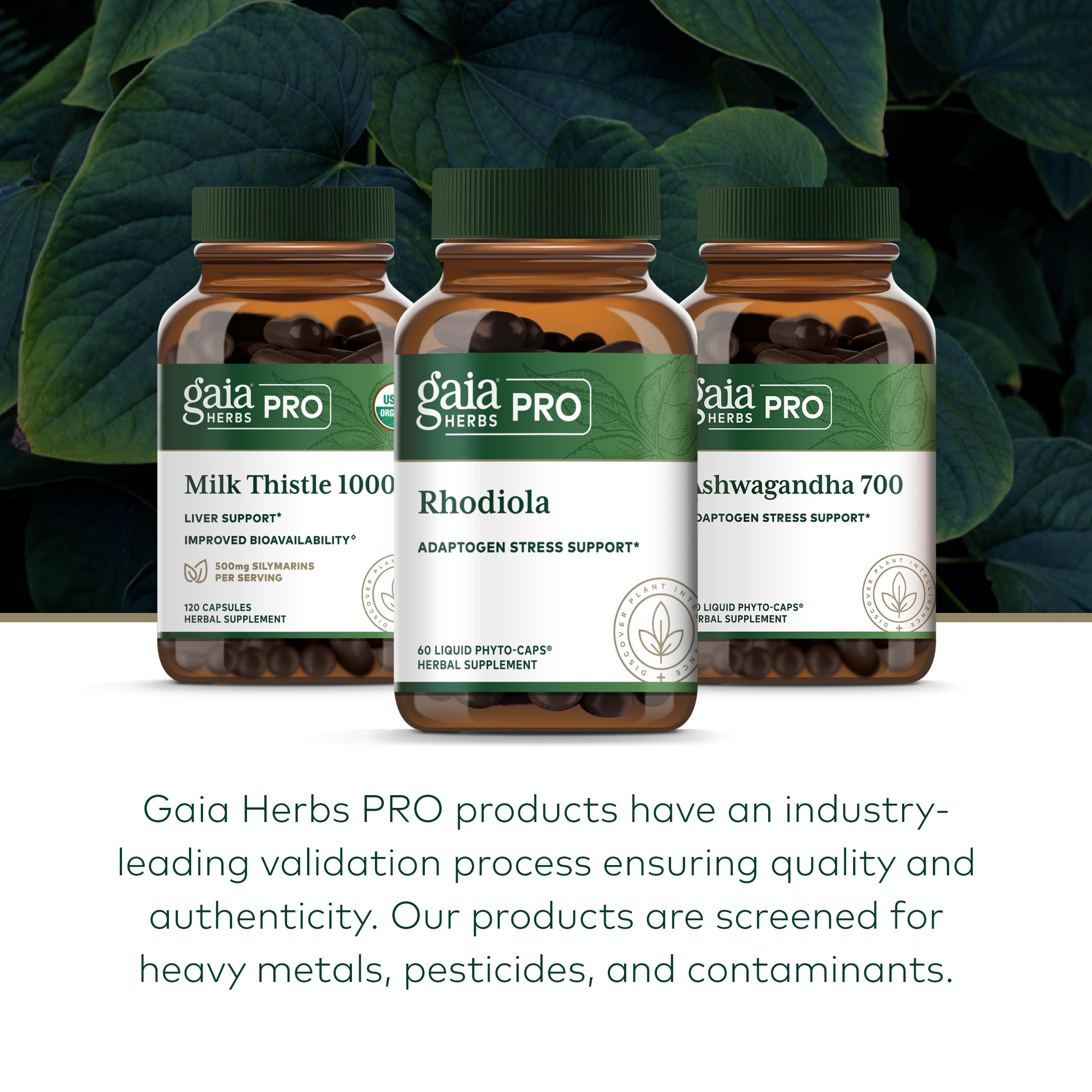 Regenerative Organic Certified farm in North Carolina