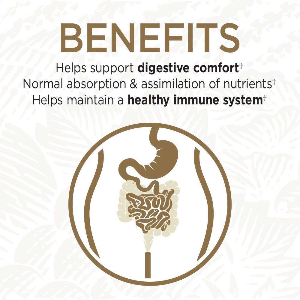 Probiotic capsules supporting regularity and bowel health