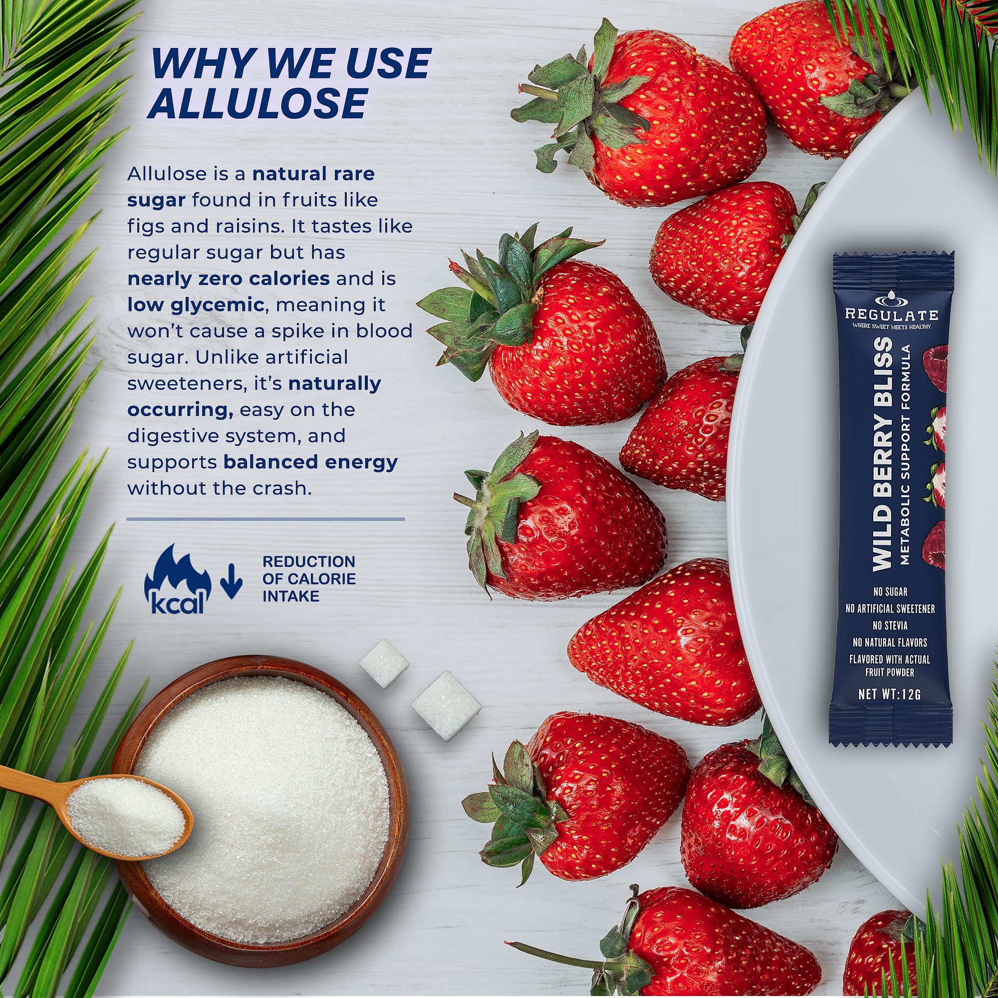 Regulate Wild Berry Bliss close-up of real fruit powder texture and color