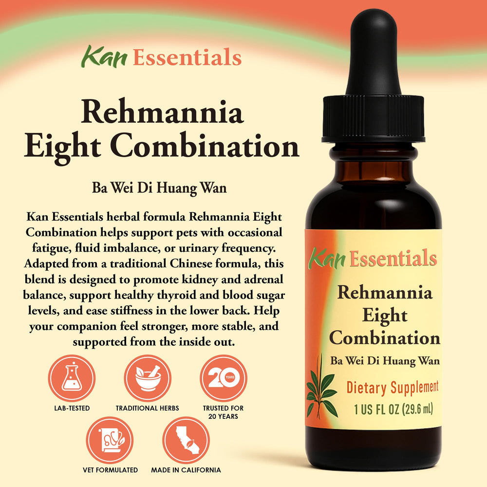 Close-up of Rehmannia Eight ingredients including astragalus, licorice, and ginseng.