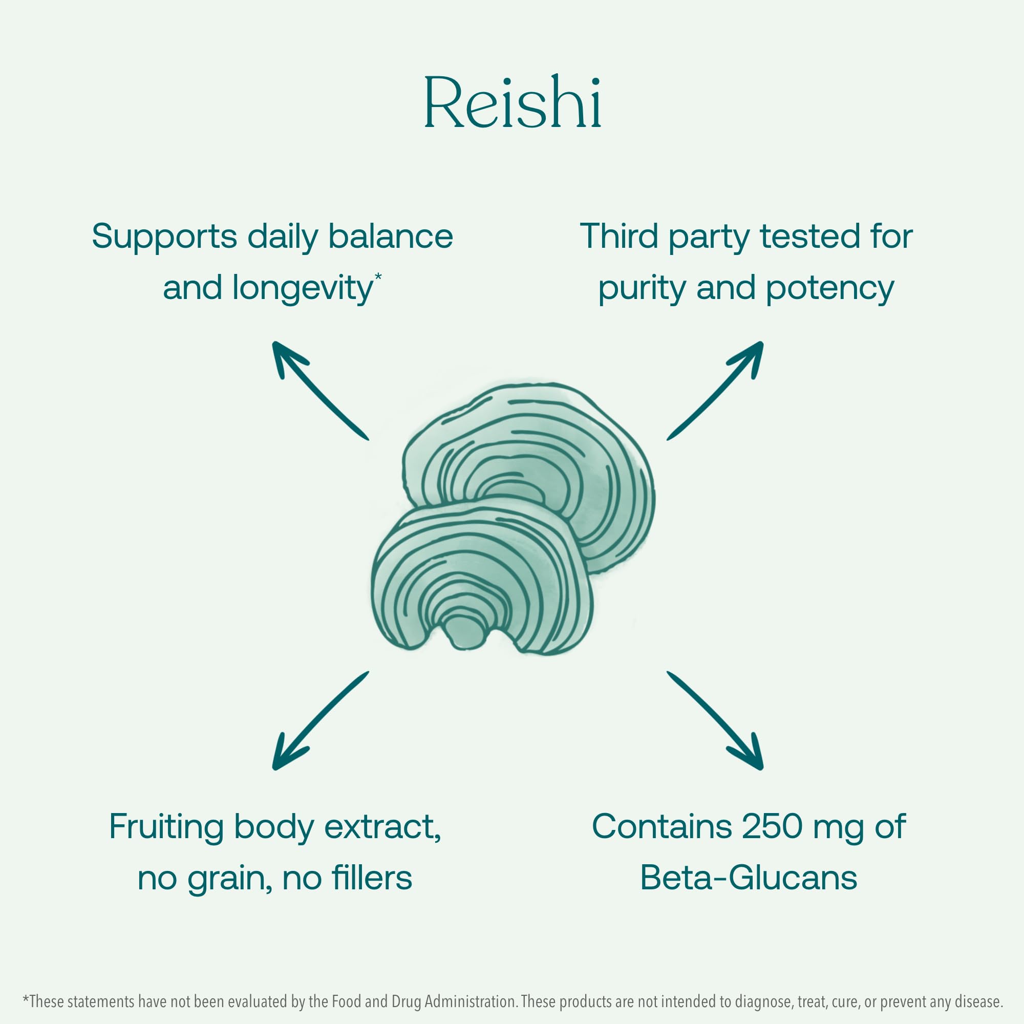 Reishi beta-glucans and immune support