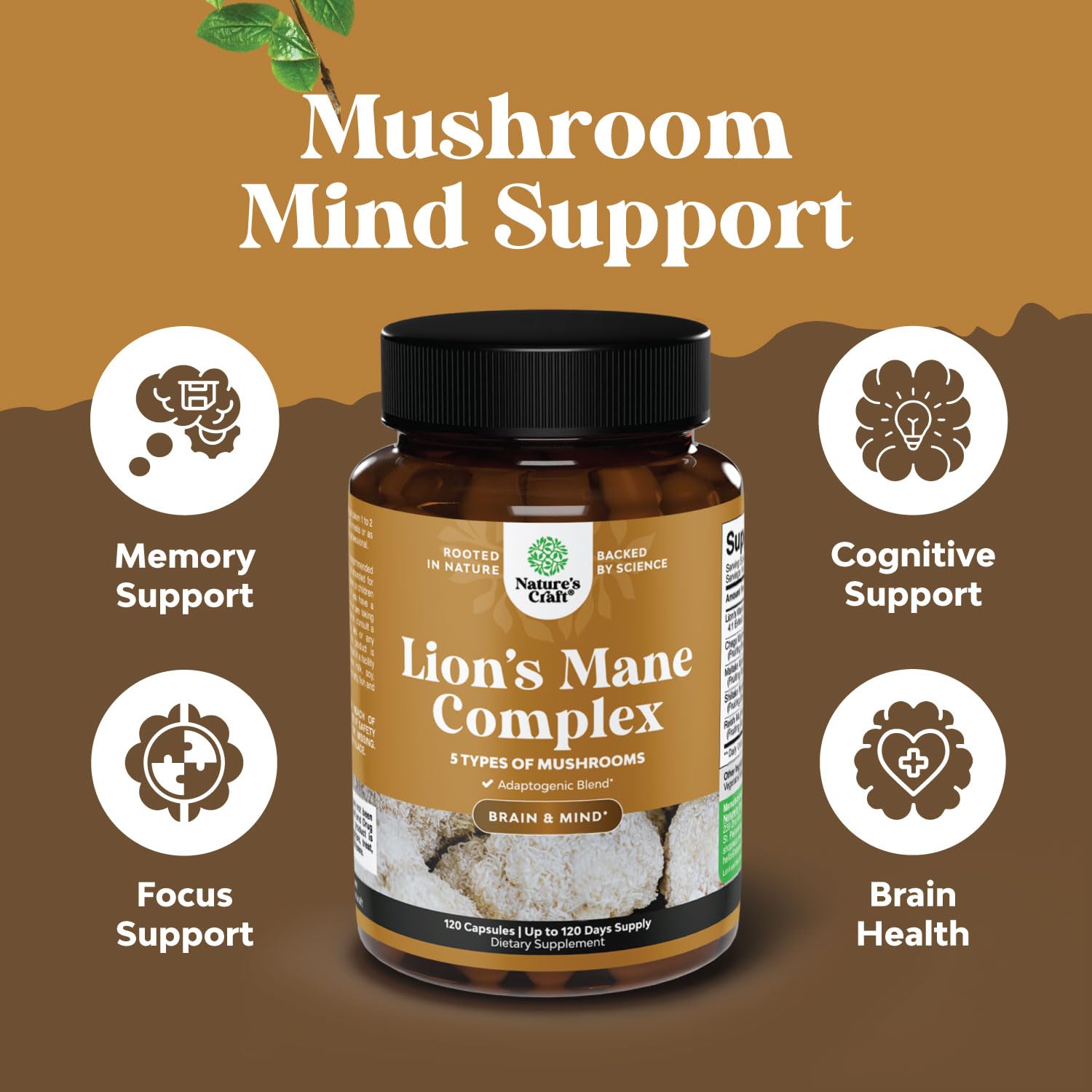 Blend of Reishi, Chaga, Maitake and Shiitake for immune and cognitive support