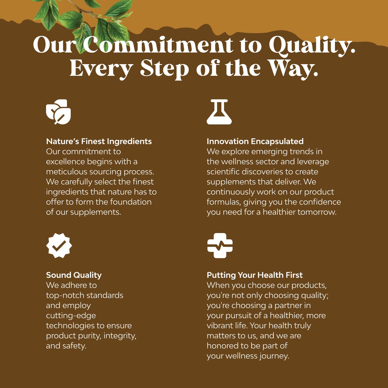 Assorted medicinal mushrooms including Reishi, Chaga, Maitake and Shiitake