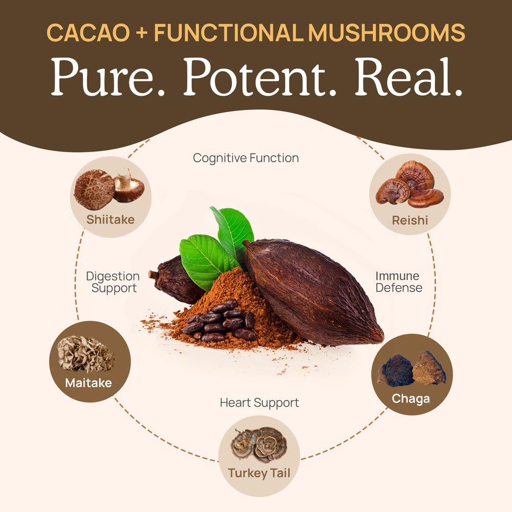 Reishi, Chaga, Turkey Tail, Shiitake, and Maitake mushrooms illustrated on label