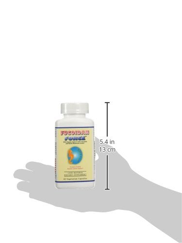 Reishi mushroom extract included in Fucoidan Force formula