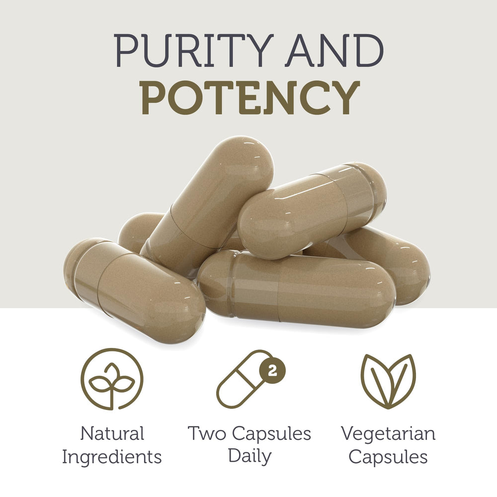 Reishi mushroom with Turkey Tail for immune support