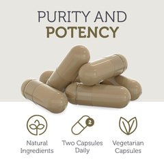 Reishi mushroom with Turkey Tail for immune support