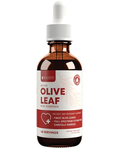 Bottle of Rejuvica Active Olive Leaf Liquid Drops, 2 oz