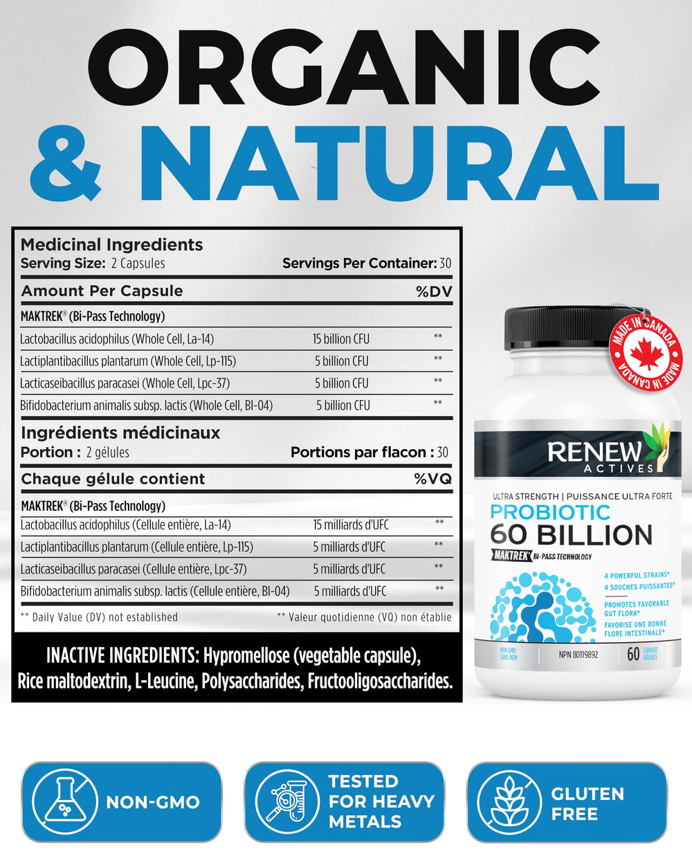 Illustration of daily digestive wellness with Renew Actives