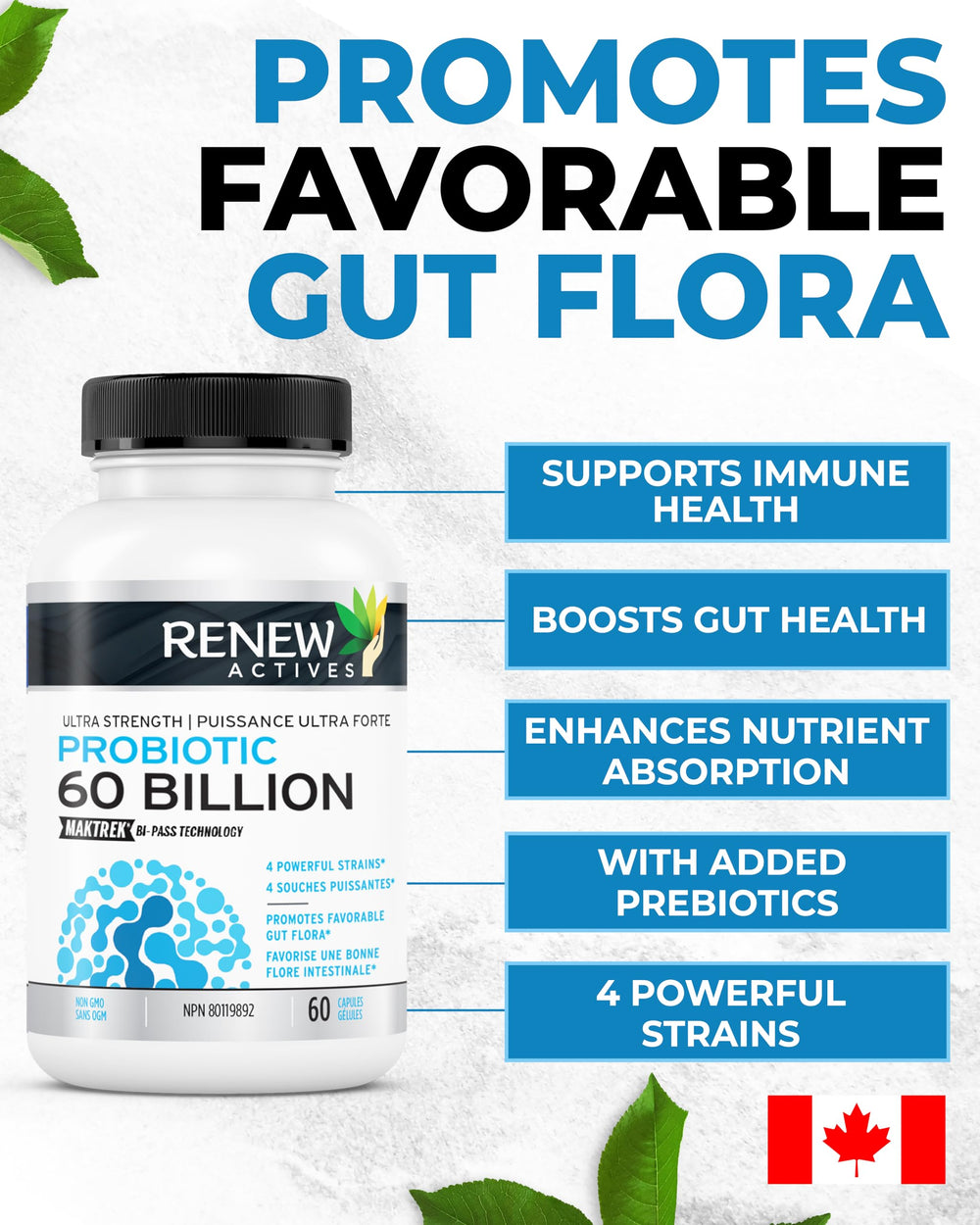 Close-up of Renew Actives capsules with prebiotic components