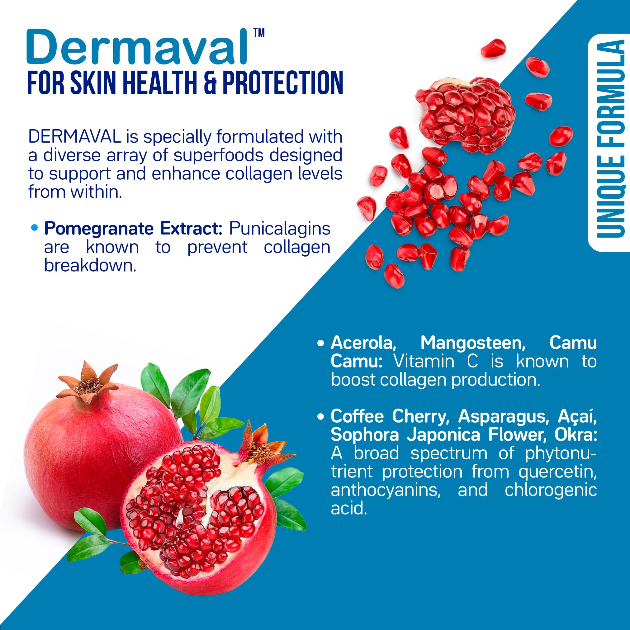 Dermaval skin health and collagen support ingredients