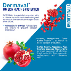 Dermaval skin health and collagen support ingredients