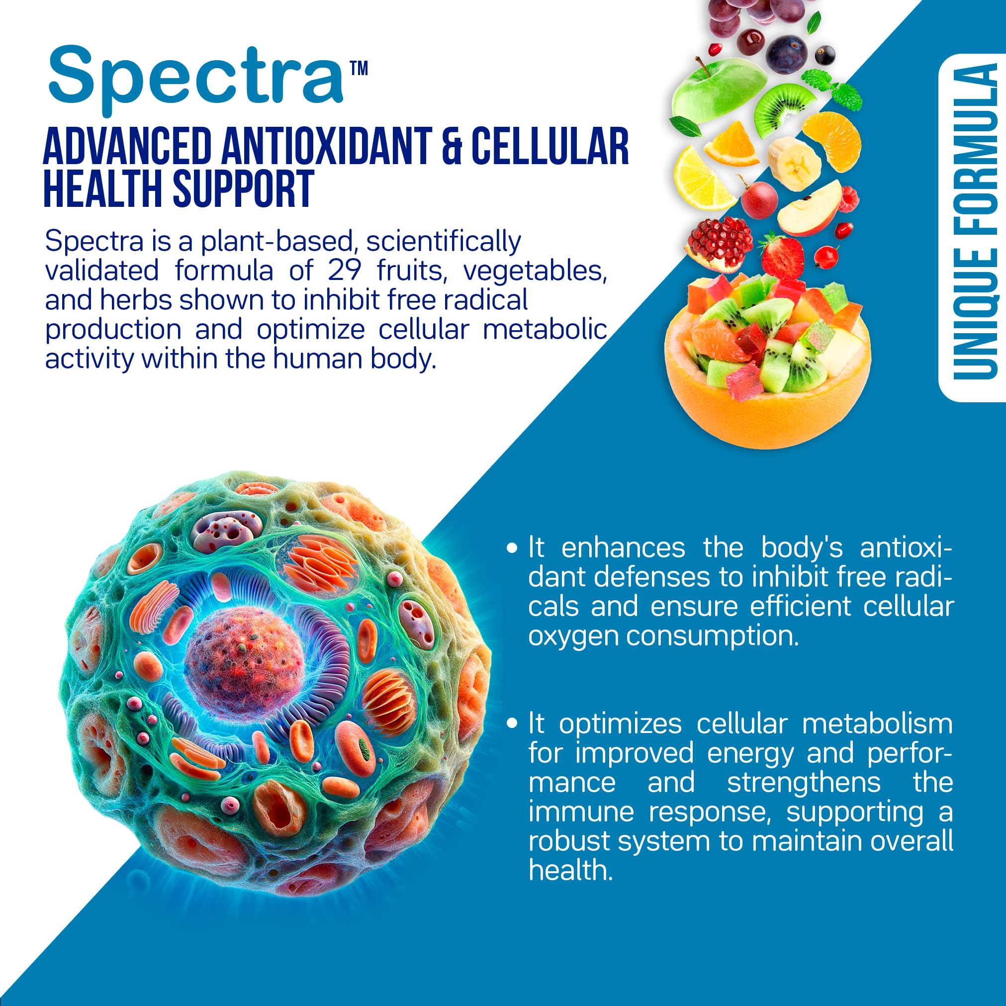 12 registered probiotic strains with prebiotics