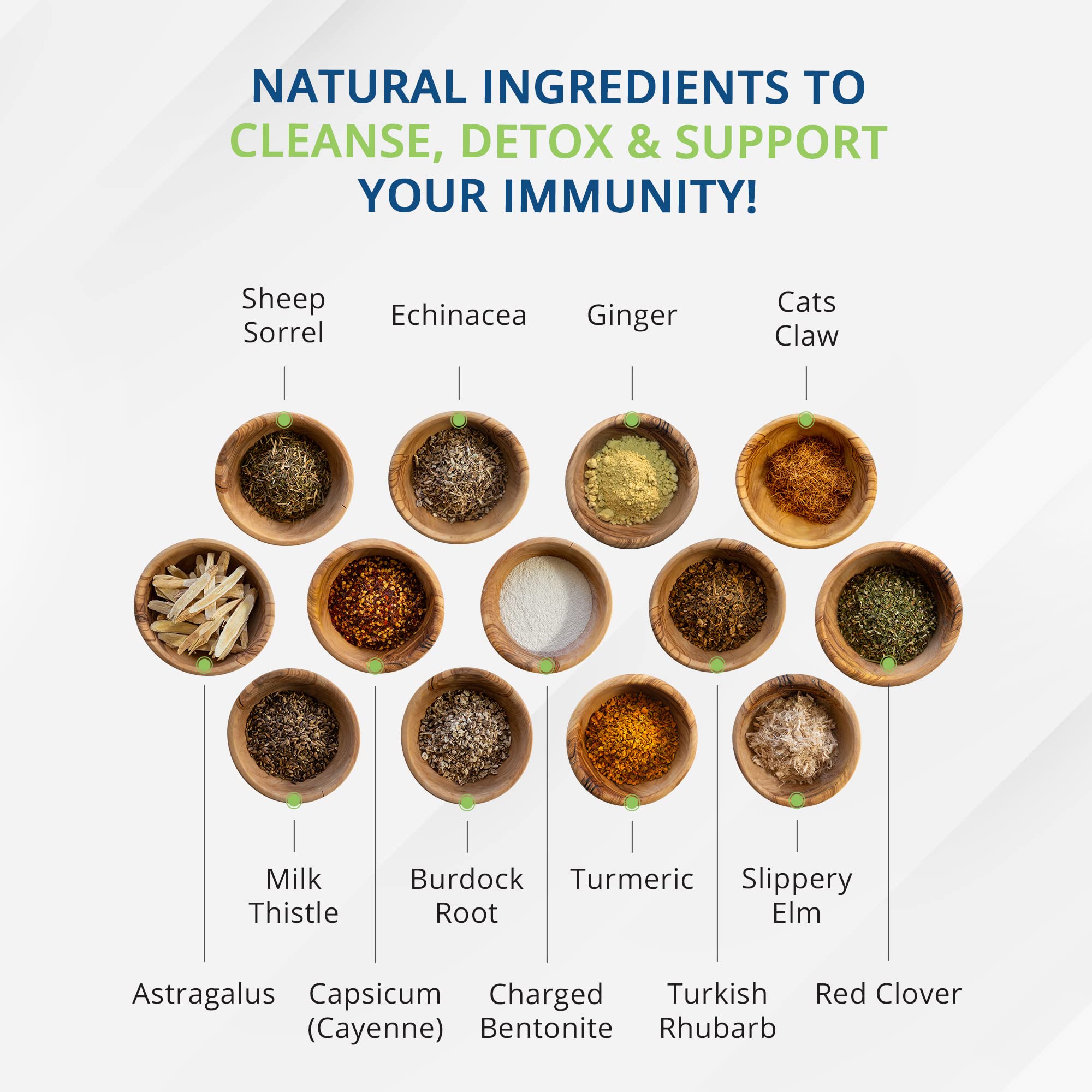 Renova CellularTea bioavailability graphic, showing rapid nutrient absorption