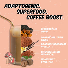 Chagaccino ingredients: chaga, cacao, cinnamon, monk fruit