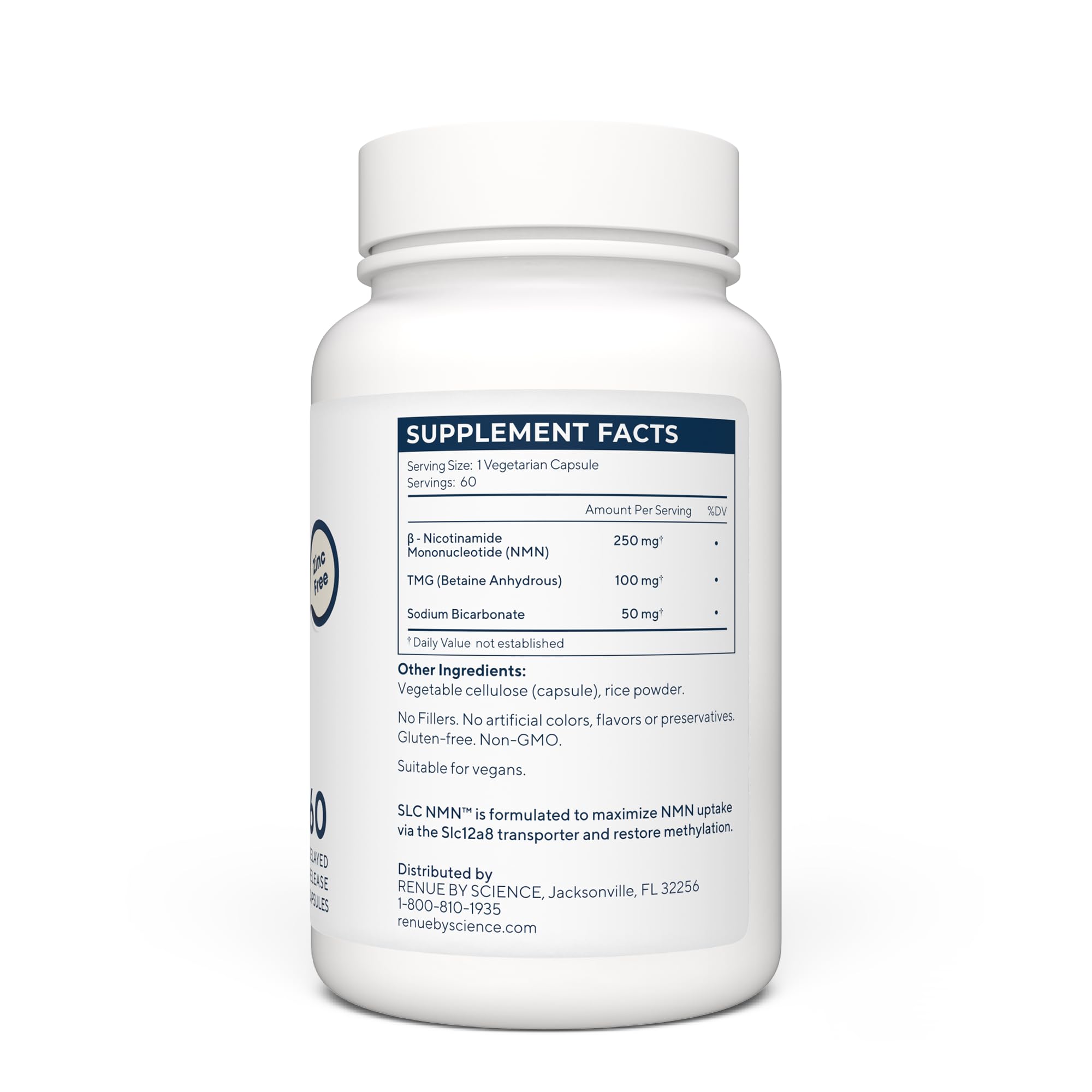 Illustration of NMN absorption and Slc12a8 transporter
