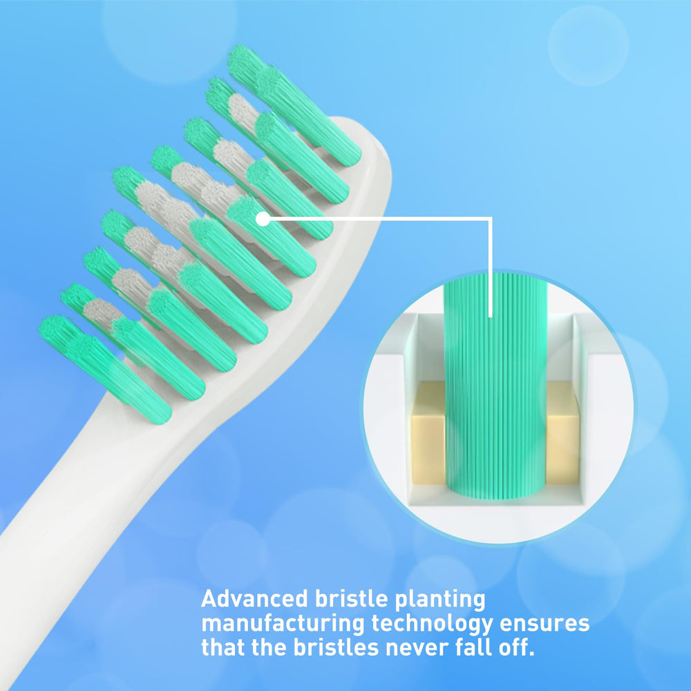 W-shaped bristles with end-rounded design for thorough cleaning