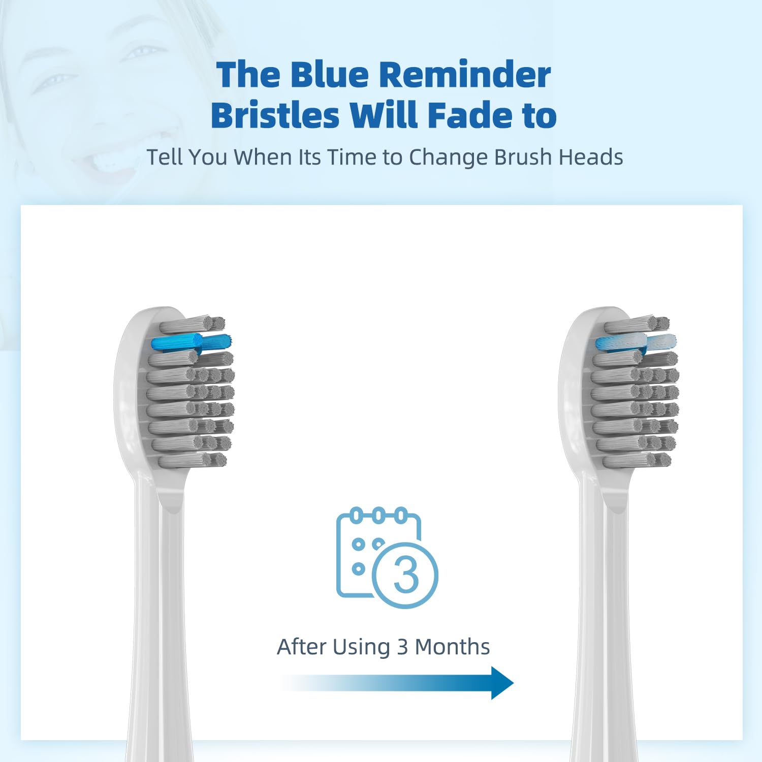 Blue indicator bristles fading to white signal replacement