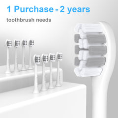 Close-up of an individual replacement brush head