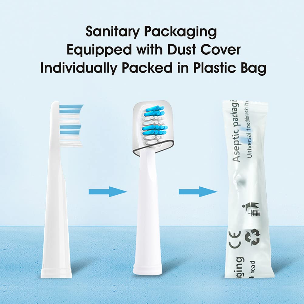 Dust cover and sanitary packaging for replacement heads