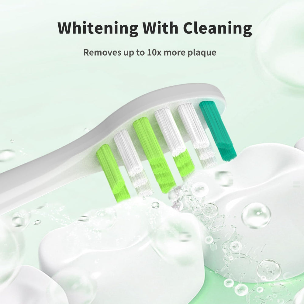 Each brush head with an individual sanitary cap