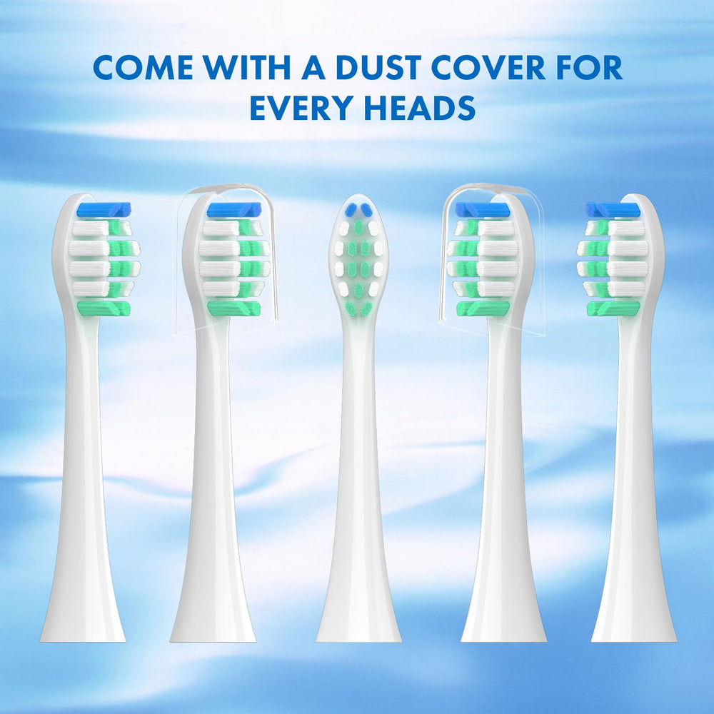 Full display of replacement heads for family use