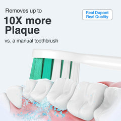 Long-tip bristles designed for deep cleaning