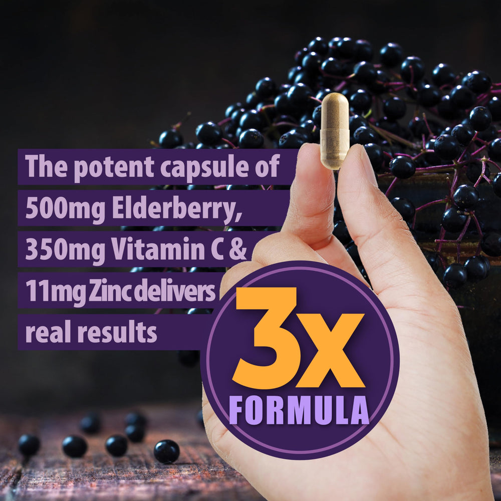 Illustration of respiratory health benefits from elderberry supplement